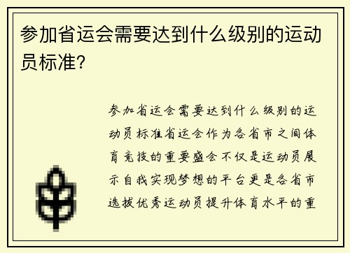 参加省运会需要达到什么级别的运动员标准？